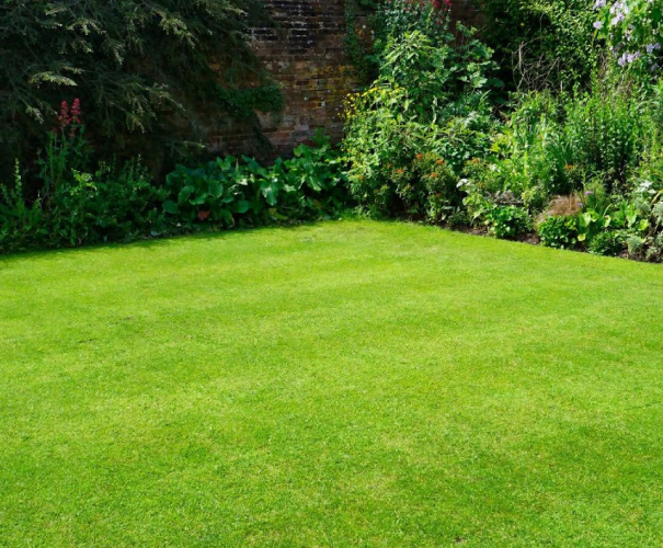 PHÒNG KHÁM  THÚ Y QUANG BÌNH