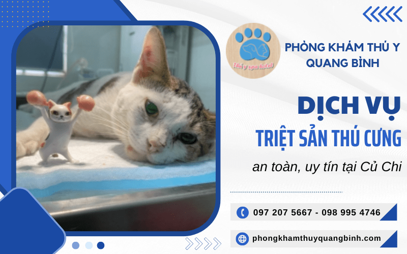 triệt sản thú cưng