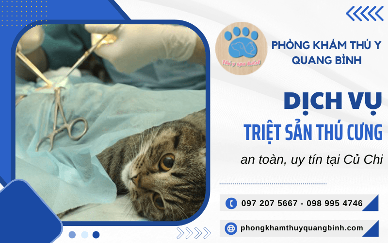 triệt sản thú cưng