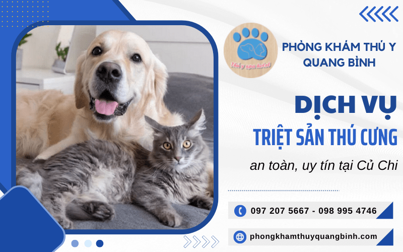 triệt sản thú cưng